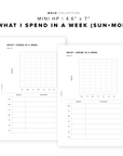 PR223 - What I Spend in a Week - Printable Insert