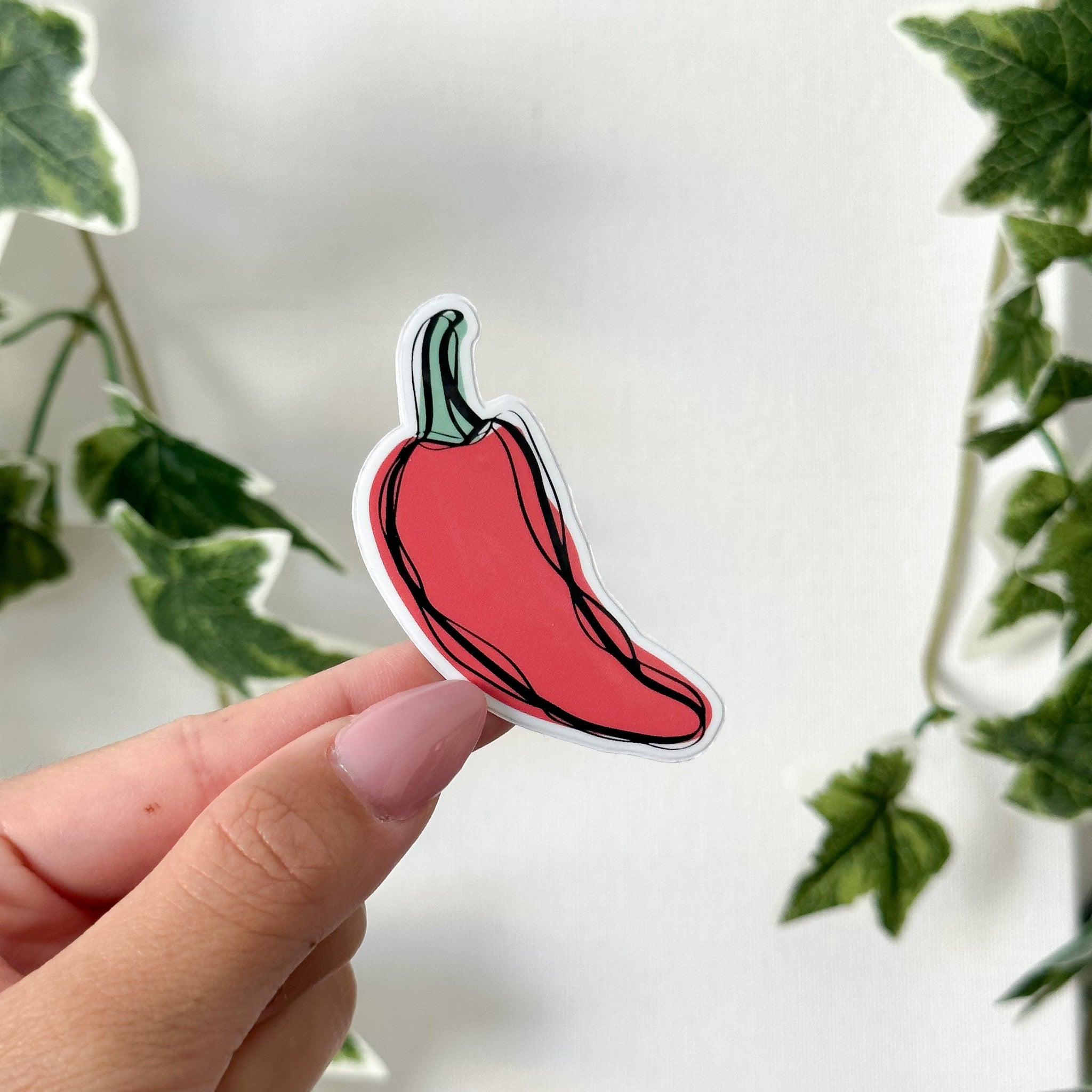 Chili Pepper - Doodle Sticker