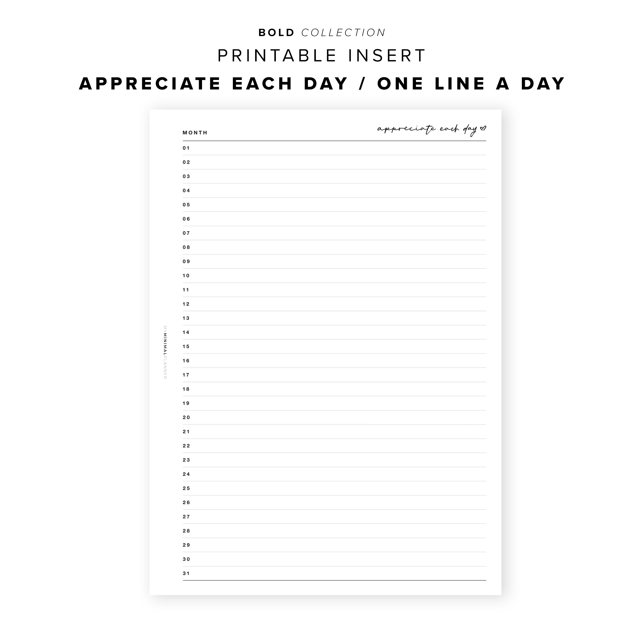PR28 - Appreciate Each Day / One Line A Day - Printable Insert